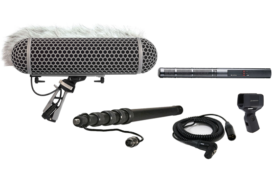 Microfone Boom MKH600